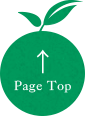 Page Top